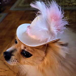 HALLOWEEN DOG HANDMADE COWBOY HAT (BARBIE THEME COLORS) NEW!